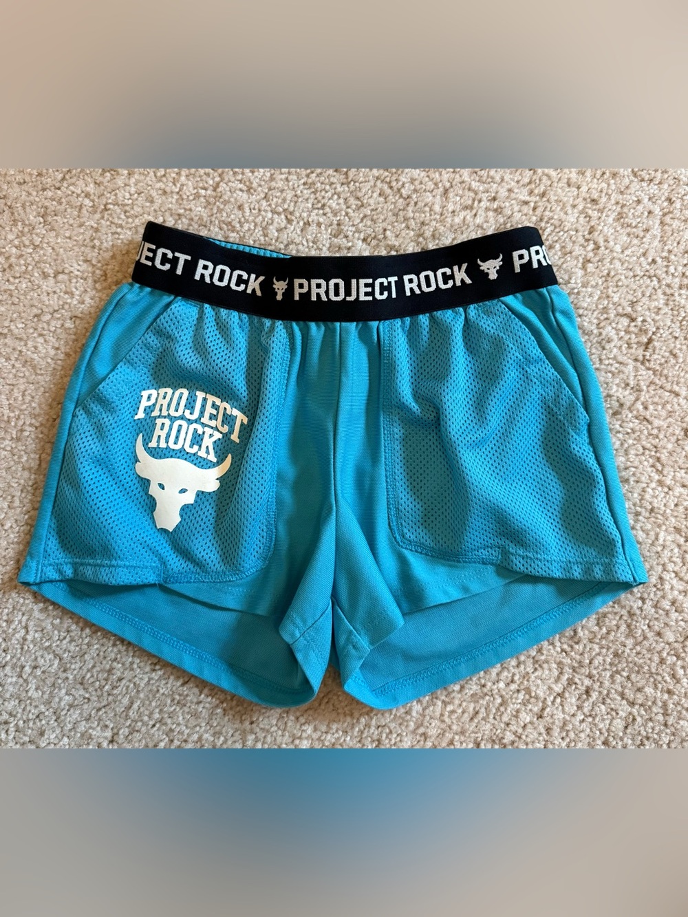 Under Armour Project Rock Aqua Mesh Athletic Shorts